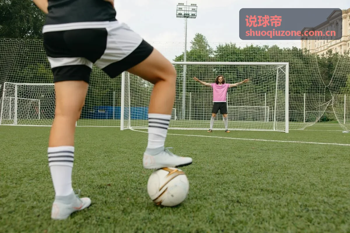 说球帝德国国家队分析